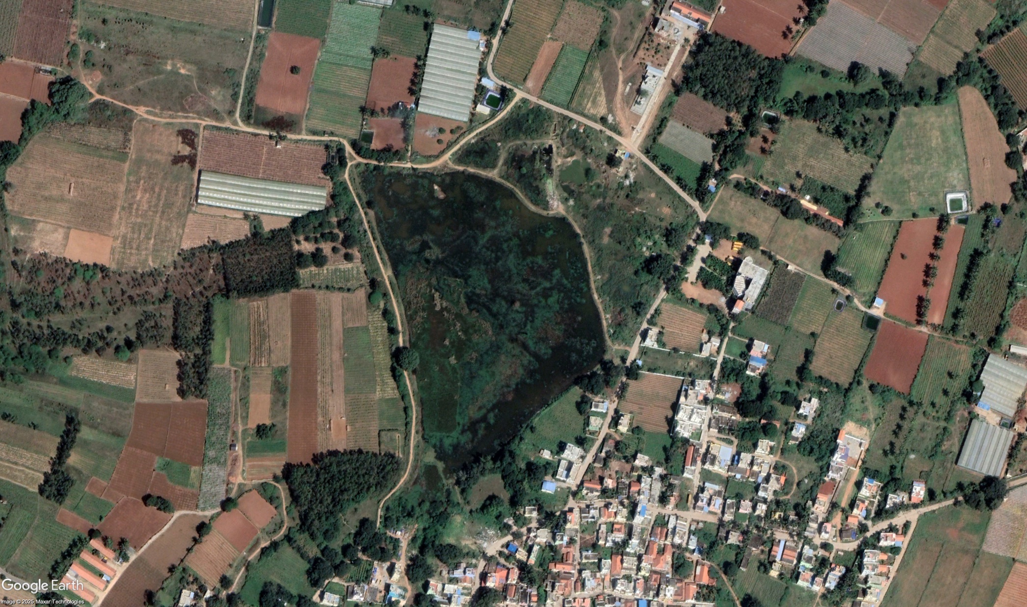 Lake before restoration