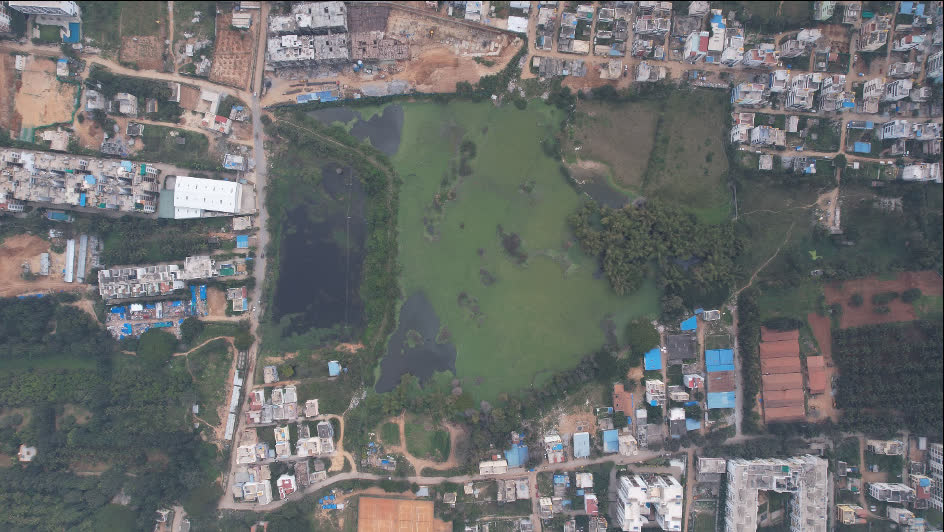Choodasandra Lake before restoration