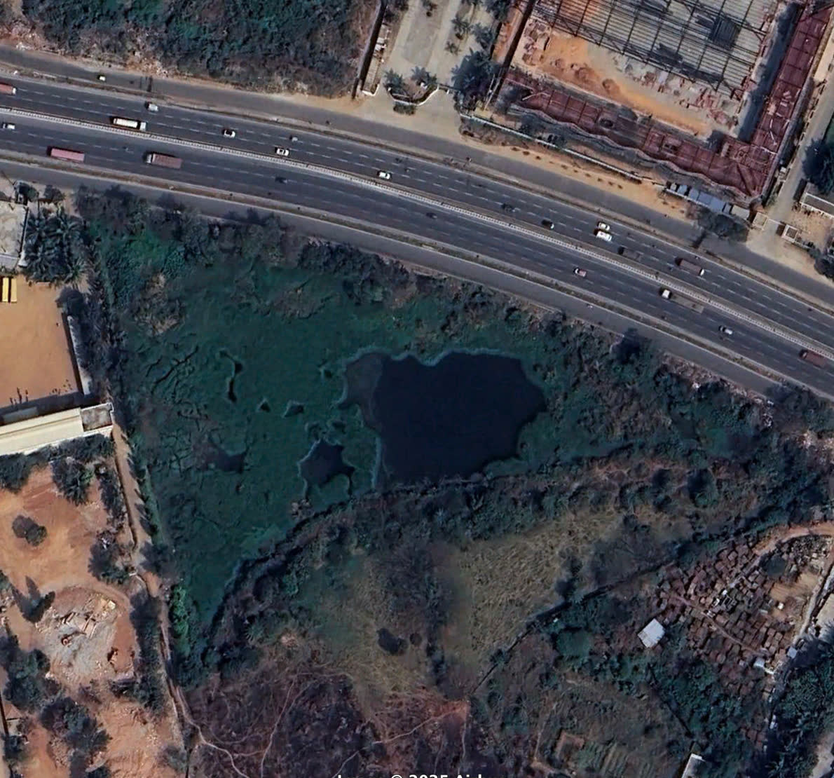Giddenahalli Lake before restoration
