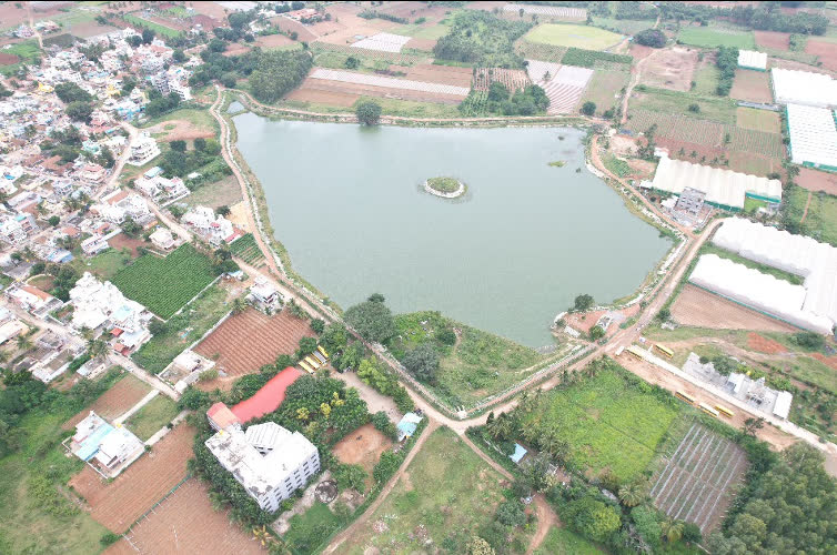 Handenahalli Lake after restoration