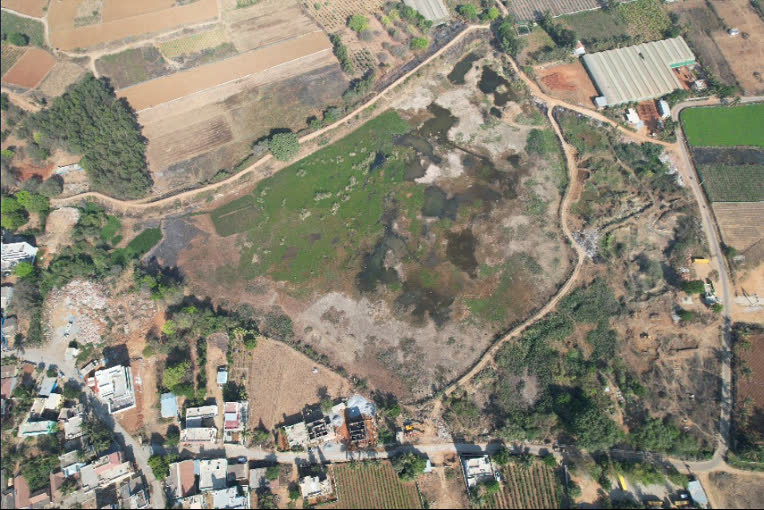 Handenahalli Lake before restoration