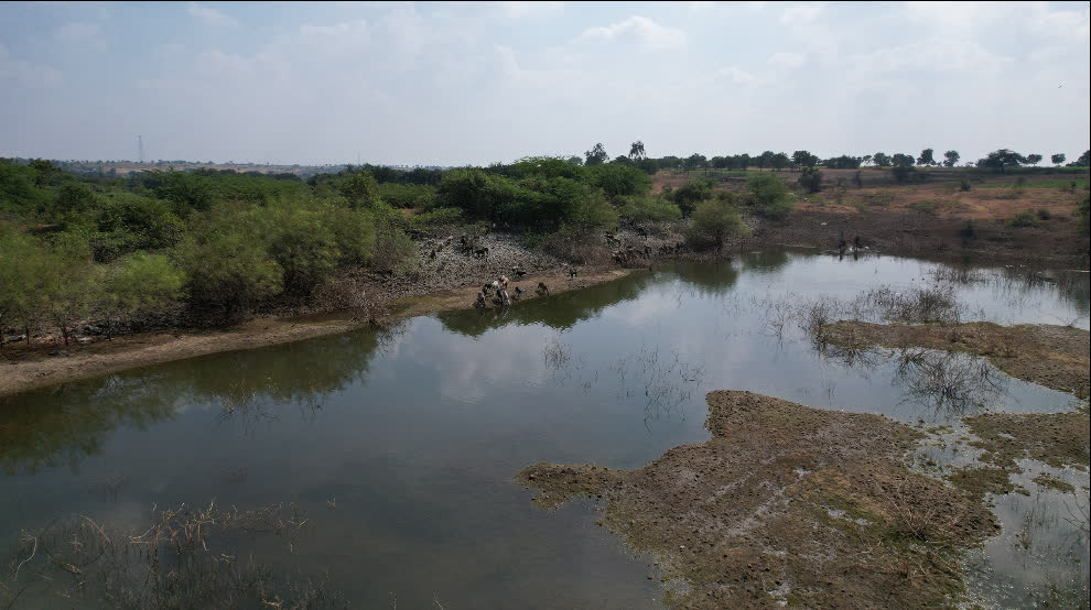 Handevasthi Lake before restoration