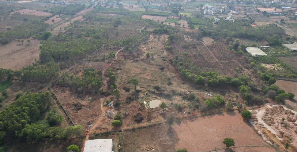 Kachamaranahalli Lake before restoration