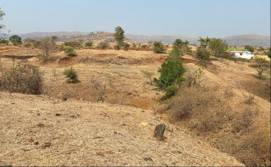Mandhar Lake before restoration