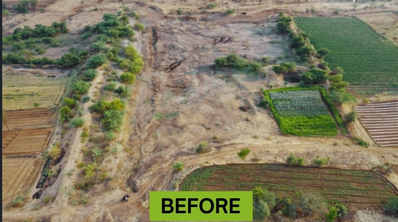 Rise Lake (Pise 2) before restoration