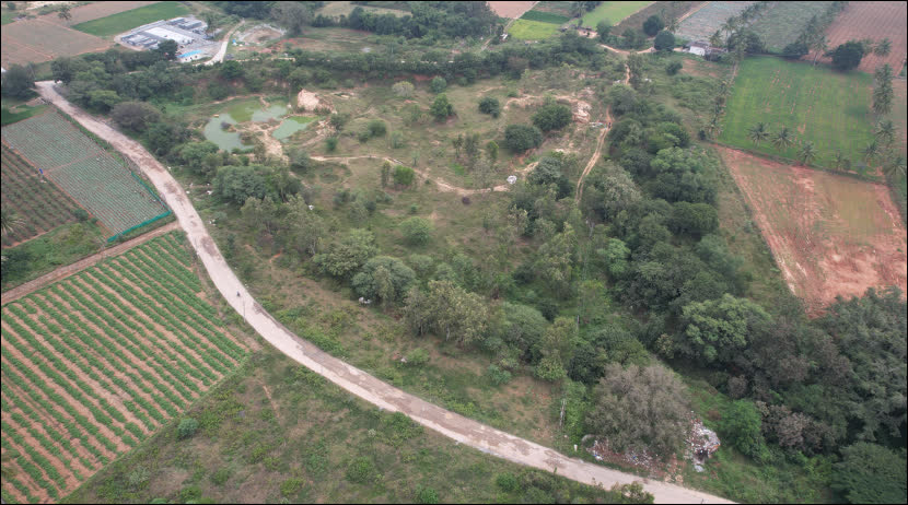 Tyavakanahalli Lake before restoration