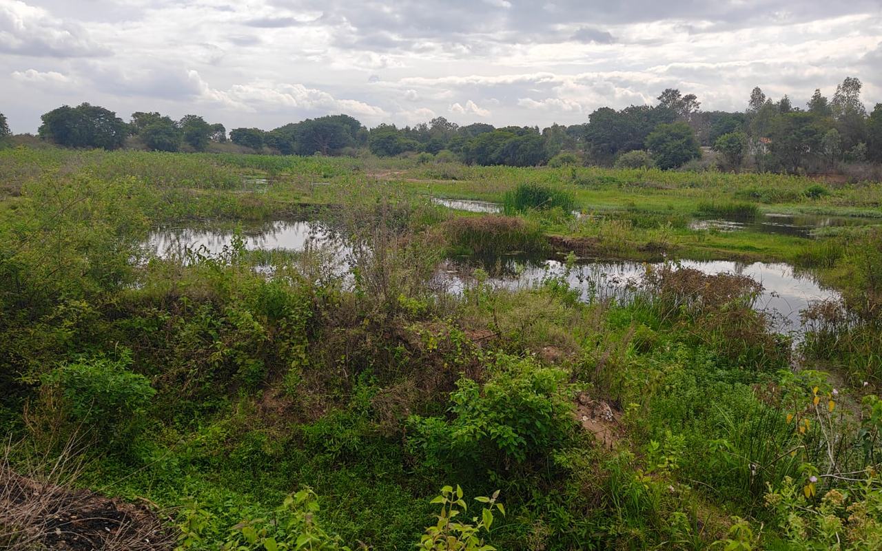 Adigarakallahalli Lake, Adigarakallahalli village, Anekal — current condition at survey