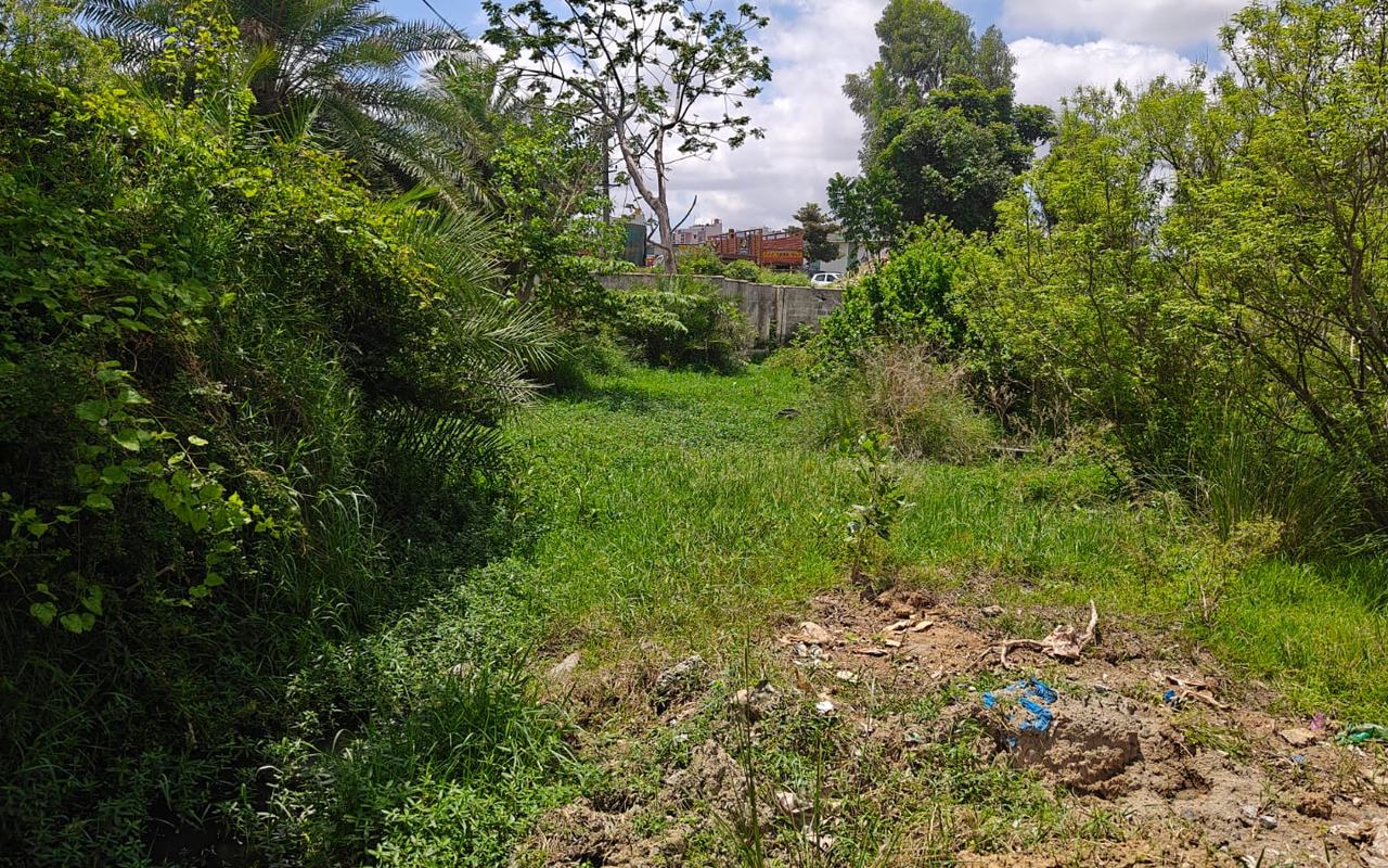 Harapanahalli Pond 1, Harapanahalli village, Anekal — current condition at survey