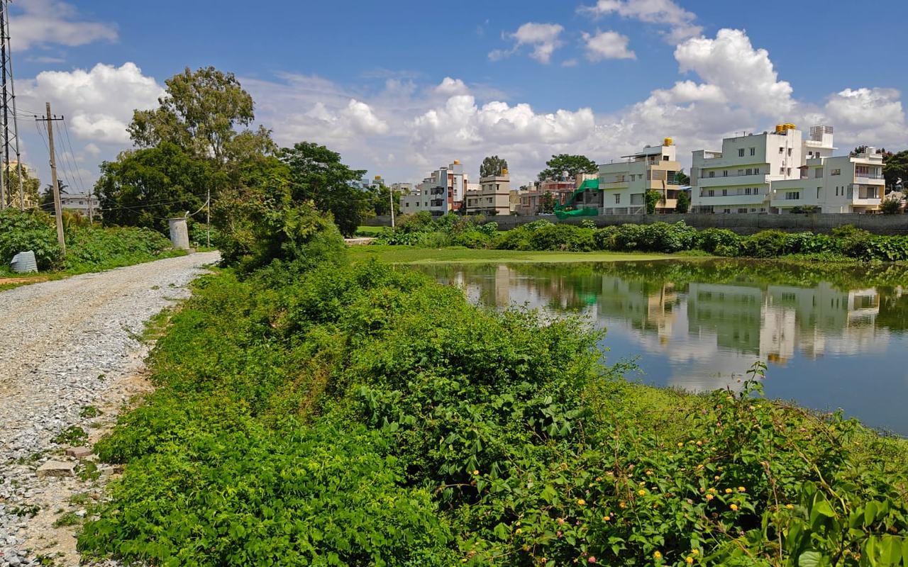 Harapanahalli Pond 2, Harapanahalli village, Anekal — current condition at survey