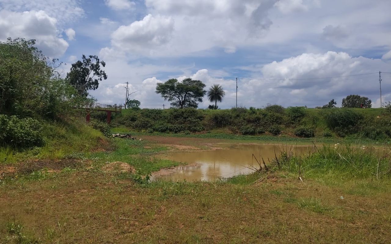 Kadatanamale Lake, Kadatanamale village, Bengaluru North — current condition at survey