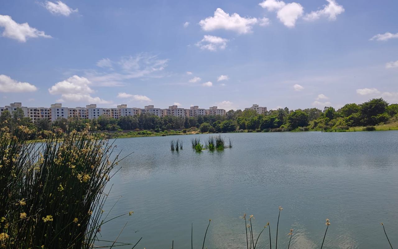 Marasandra Lake, Marasandra village, Bengaluru North — current condition at survey