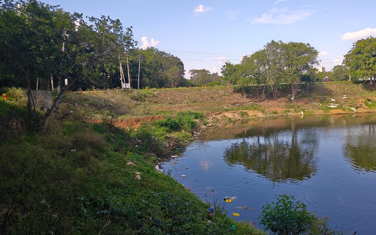Ramakrishnapura Lake, Ramakrishnapura village, Anekal — current condition at survey