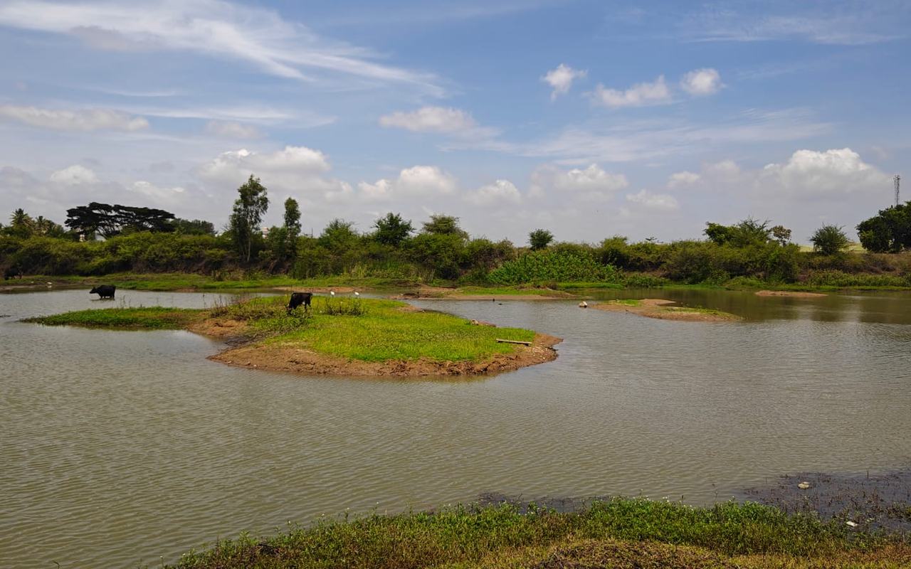 Ramayana Lake, Ballur village, Anekal — current condition at survey